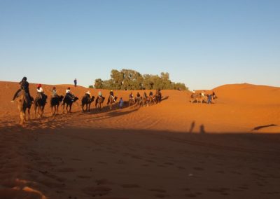 Family Desert Tours15