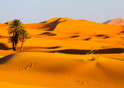 Morocco Sahara Desert Trip 8 Days From Fes To Marrakech
